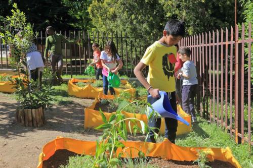 habitat@scuola